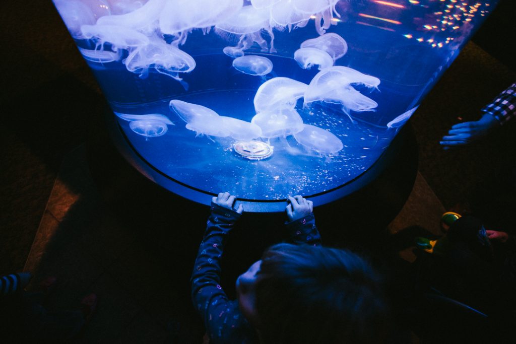 Aquarium and a Russian Camera {film candid child photographer}